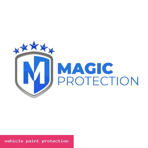 vehicle paint protection